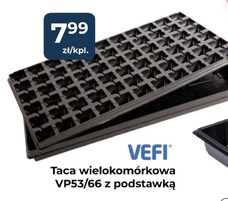 Taca wielokomórkowa VP53/66 z podstawką promocja w PSB Mrówka
