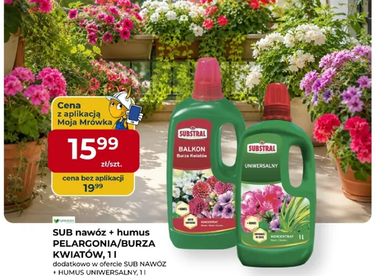 Nawóz + humus Pelargonia i Burza Kwiatów Substral promocja w PSB Mrówka