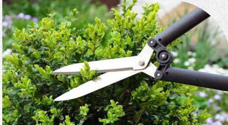 Katalog ogród, strona 124 promocja w Bricomarche