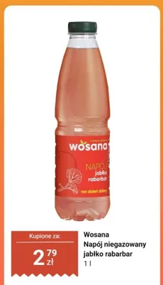 Napój niegazowany Wosana jabłko rabarbar promocja w Dino