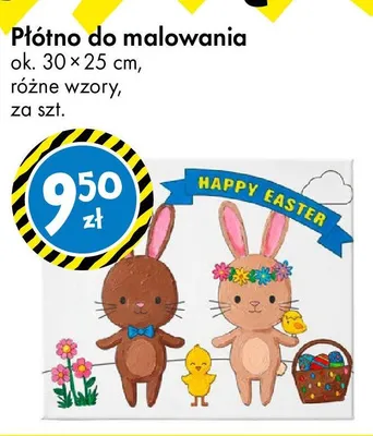 Płótno do malowania promocja w Tedi