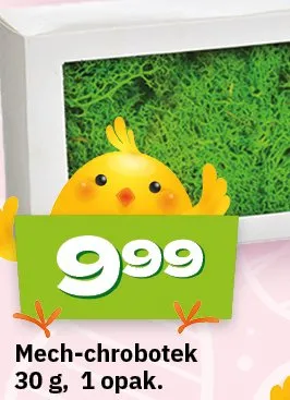 Mech-chrobotek promocja w Twój Market