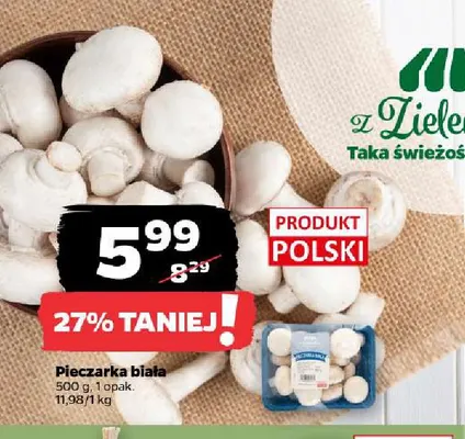 Pieczarka biała promocja w Netto