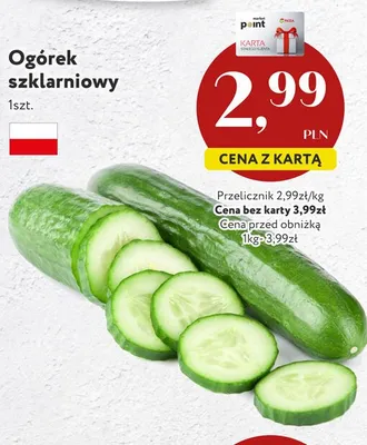 Ogórek szklarniowy polski promocja w Market Point