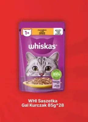 Karma dla kota Whiskas saszetka galaretka kurczak promocja w API Market