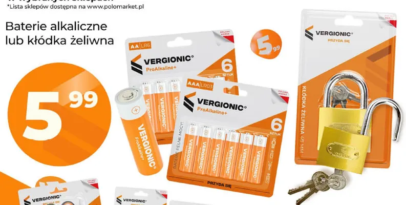 Baterie alkaliczne Vergionic promocja w POLOmarket