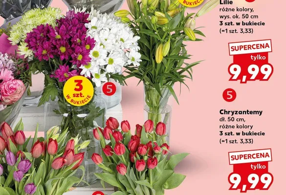 Chryzantemy dł. 50cm 3szt. w bukiecie promocja w Kaufland
