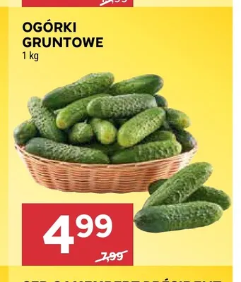 Ogórki gruntowe promocja w Stokrotka