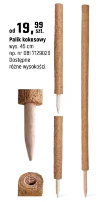 Palik kokosowy promocja w OBI