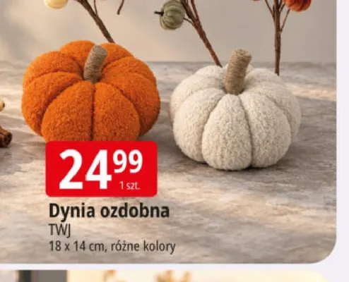 Dynia ozdobna Twj 18x14 cm promocja w Leclerc
