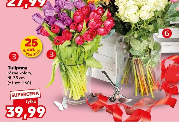 Tulipany różne kolory promocja w Kaufland