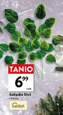 Gałązka liści Goliat promocja w Intermarche