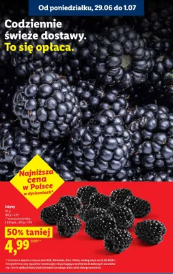 Jeżyny promocja w Lidl