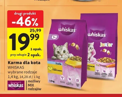 Karma dla kota Whiskas Junior promocja w Intermarche
