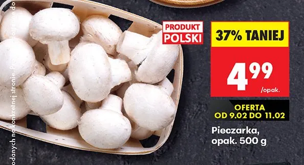 Pieczarki promocja w Biedronka