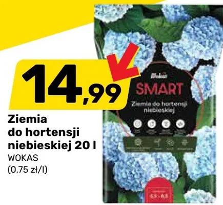 Ziemia do hortensji niebieskiej 20 l promocja w Bricomarche