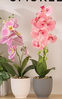 Pojemnik z 3 szufladami promocja w Biedronka