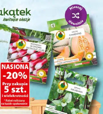 Nasiona promocja w Dino