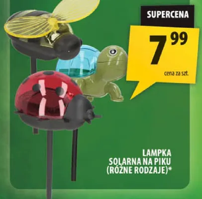 Lampka na piku różne rodzaje* promocja w Arhelan