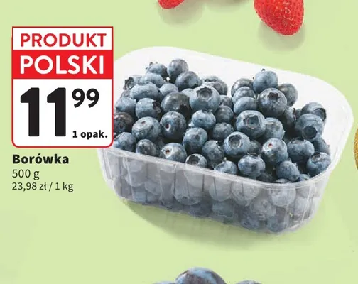 Borówka polska promocja w Intermarche