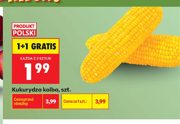 Kukurydza kolba polska promocja w Biedronka