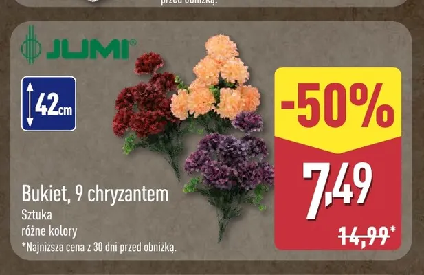 Bukiet 9 chryzantem Jumi 42 cm promocja w Aldi
