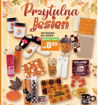 Akcesoria na jesień promocja w Stokrotka