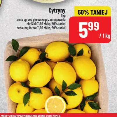 Cytryny promocja w POLOmarket