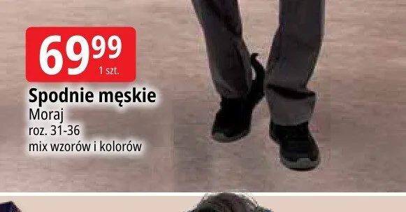 Spodnie męskie Moraj promocja w Leclerc