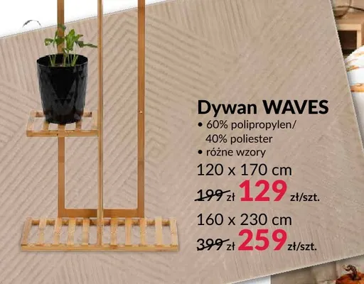 Dywan Waves 160x230 cm promocja w Salony Agata