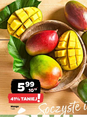 Mango promocja w Netto