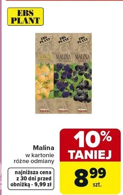 Malina w kartonie różne odmiany promocja w Carrefour