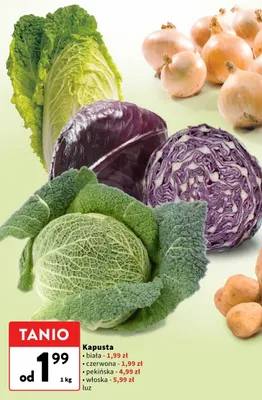Kapusta włoska luz promocja w Intermarche