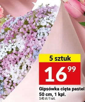 Gipsówka cięta pastel 50 cm, 5 sztuk promocja w Twój Market