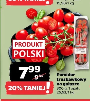 Pomidor truskawkowy na gałązce promocja w Netto