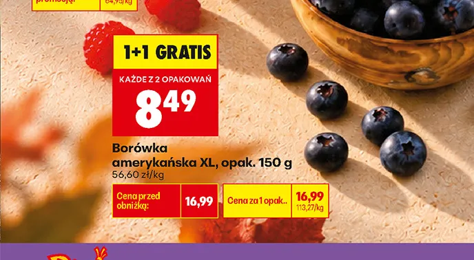 Borówka amerykańska XL promocja w Biedronka