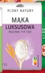 Mąka luksusowa pszenna typ 550 promocja w Biedronka