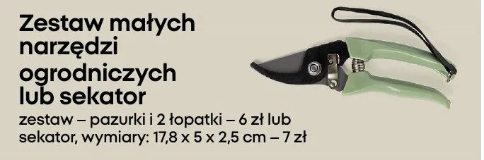 Zestaw narzędzi ogrodniczych: sekator promocja w Pepco