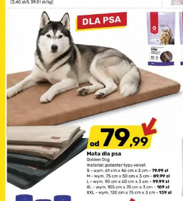 Mata dla psa Golden Dog S promocja w Bricomarche