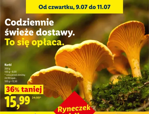 Kurki promocja w Lidl
