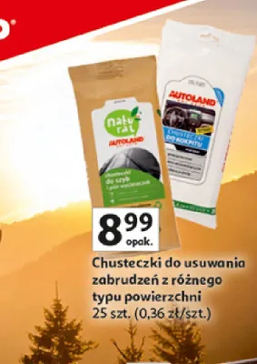 Chusteczki do usuwania zabrudzeń Autoland promocja w Auchan