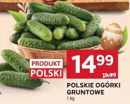 Ogórki gruntowe promocja w Stokrotka