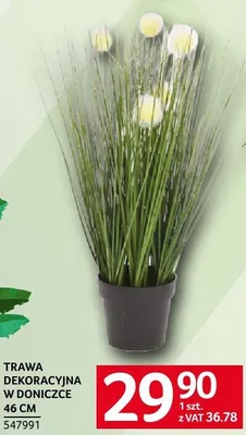 Trawa dekoracyjna w doniczce 46 cm 547991 promocja w Selgros