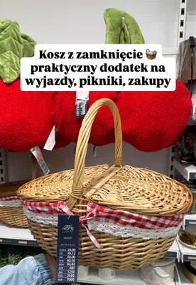 Kosz z zamknięciem promocja w Pepco