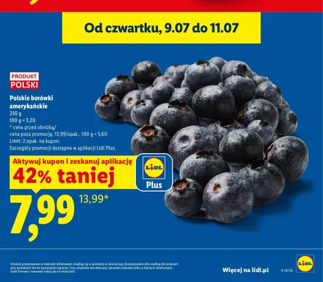Borówki amerykańskie polskie promocja w Lidl