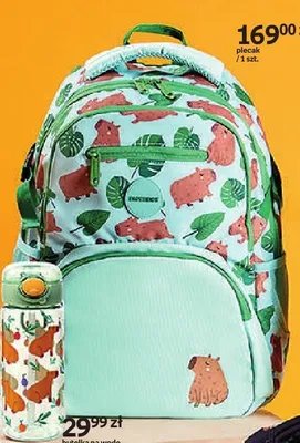 Plecak szkolny Paperdot Cappy Classes zielony promocja w Empik
