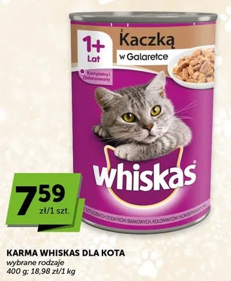 Karma dla kota z kaczką w galaretce promocja w ABC