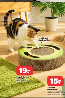 Drapak dla kota awokado promocja w Netto