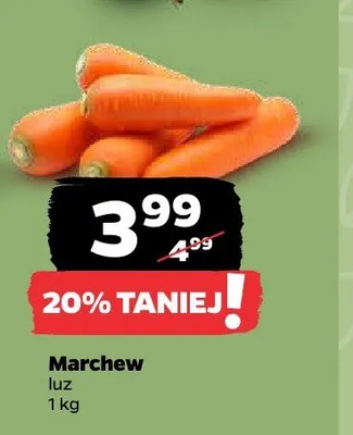 Marchew promocja w Netto