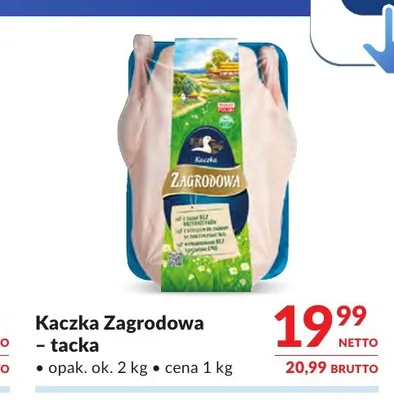 Kaczka tacka promocja w Makro